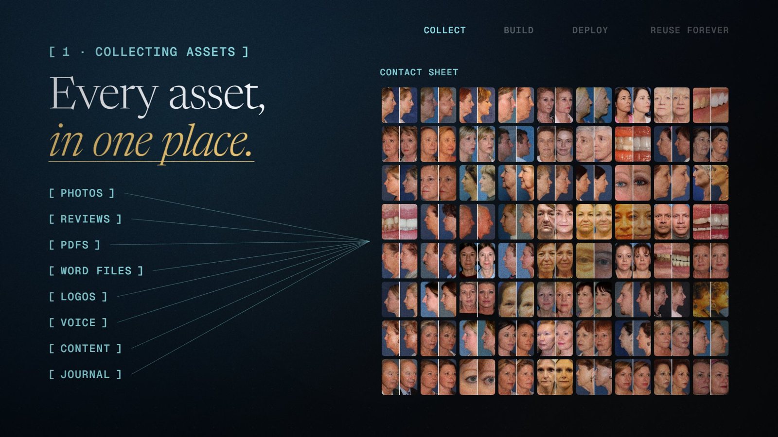 Every asset, in one place.
